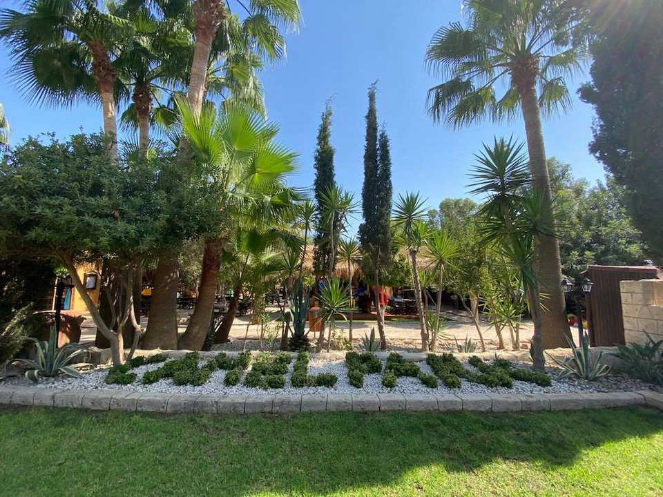  Park kamila Mazotos Kipar 